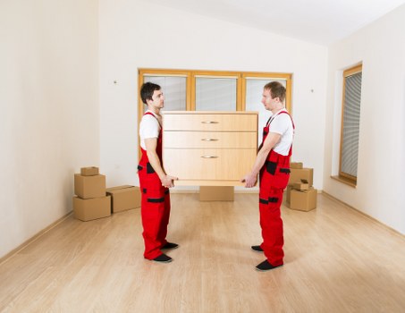 Variety of moving vans ready for hire